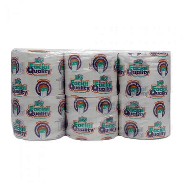 PAPEL HIG BIG QUALITY 600 HD