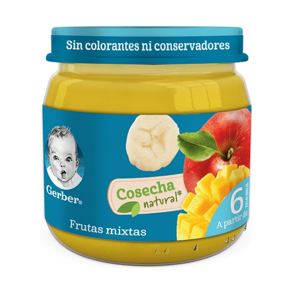 GERBER 2E FRUTAS MIXTAS100GR