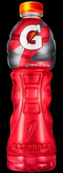 GATORADE PONCHE 750 ML
