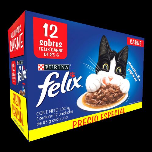 FELIX CARNE 12 PACK (12X85G)