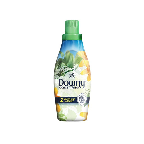 DOWNY BASE PUR SILVESTRE