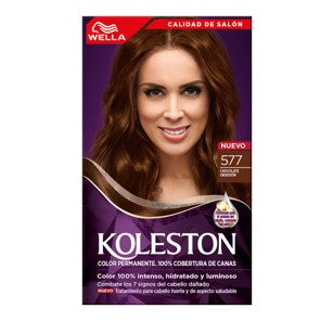 CHOCOLATE TENTACIÓN #577 218GR