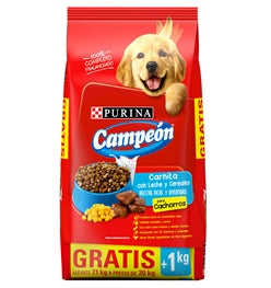 CAMPEON CACHORRO BONUS