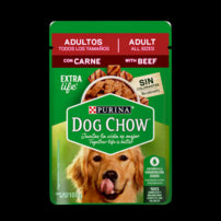 DOG CHOW CARNEPOUCH MP12X100